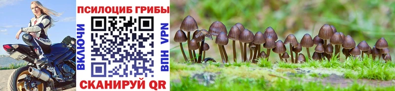 Псилоцибиновые грибы MAGIC MUSHROOMS  как найти закладки  Шумерля 