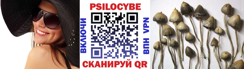 Псилоцибиновые грибы Psilocybine cubensis Шумерля