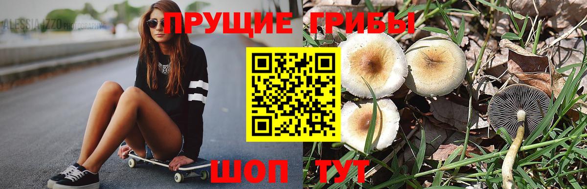 Галлюциногенные грибы мухоморы Шумерля
