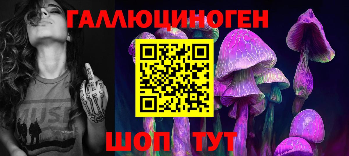 где купить наркоту  Вход с VPN  Шумерля  Псилоцибиновые грибы мухоморы 